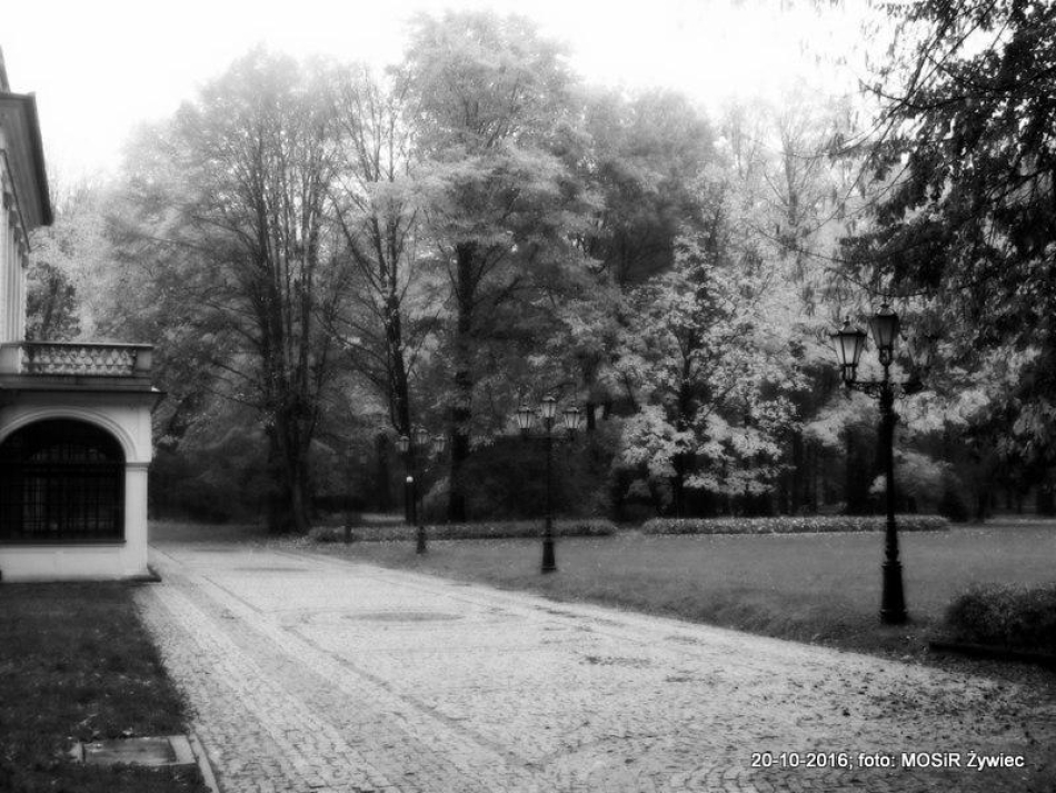 REKREACYJNIE - PARK ŻYWIECKI