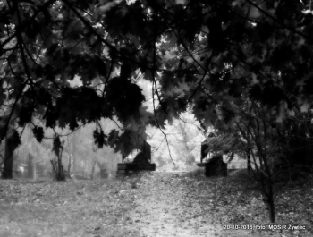 REKREACYJNIE - PARK ŻYWIECKI - zdjęcie3