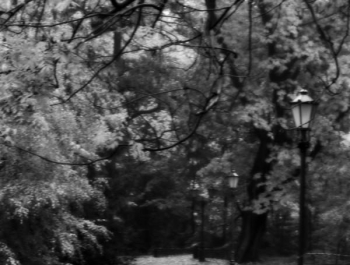 REKREACYJNIE - PARK ŻYWIECKI - zdjęcie2