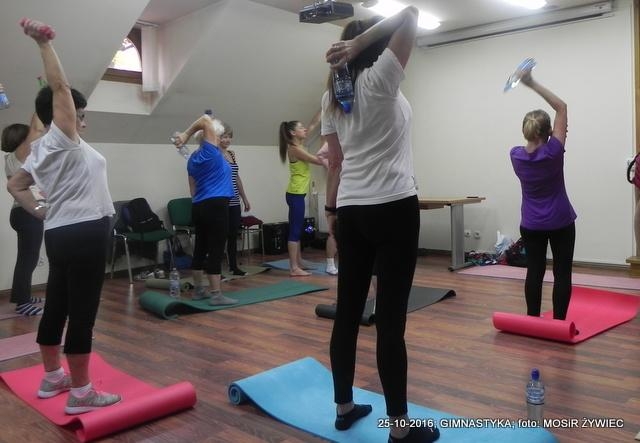 GIMNASTYKA DLA SENIORÓW!