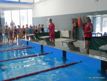 SPOTKANIE ZE ŚWIĘTYM MIKOŁAJEM - MOSiR Żywiec 2016 r. - zdjęcie81