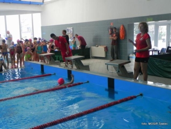 SPOTKANIE ZE ŚWIĘTYM MIKOŁAJEM - MOSiR Żywiec 2016 r. - zdjęcie80