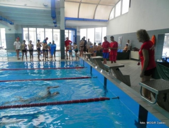 SPOTKANIE ZE ŚWIĘTYM MIKOŁAJEM - MOSiR Żywiec 2016 r. - zdjęcie71