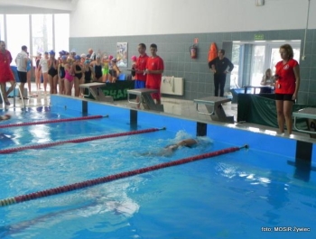 SPOTKANIE ZE ŚWIĘTYM MIKOŁAJEM - MOSiR Żywiec 2016 r. - zdjęcie63