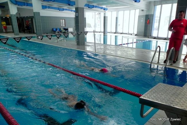 ZAWODY PŁYWACKIE: Ferie z MOSiR-em 2017