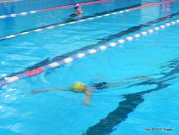 Oficjalne wyniki - zawody pływackie - zdjęcie14