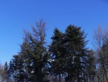 SENIOR/KA zimową porą! - zdjęcie14