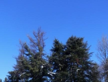 SENIOR/KA zimową porą! - zdjęcie13