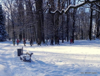 SENIOR/KA zimową porą! - zdjęcie5