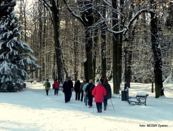 SENIOR/KA zimową porą! - zdjęcie4