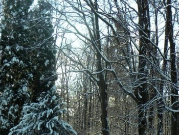 SENIOR/KA zimową porą! - zdjęcie3