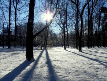 SENIOR/KA zimową porą! - zdjęcie1
