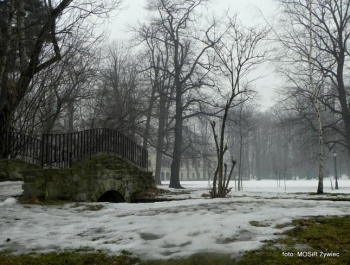 SENIOR/KA w Parku Żywieckim. - zdjęcie7