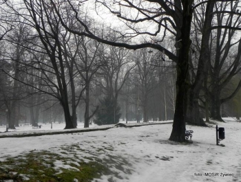 SENIOR/KA w Parku Żywieckim. - zdjęcie6