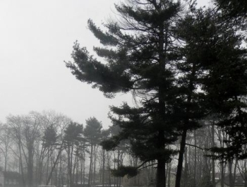 SENIOR/KA w Parku Żywieckim. - zdjęcie2