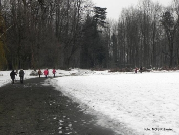 SENIOR/KA w plenerze - Nordic Walking - zdjęcie1