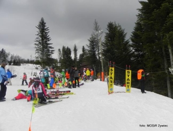 WYNIKI Zawodów Narciarskich Żywieckich Szkół Samorządowych - zdjęcie59
