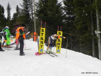 WYNIKI Zawodów Narciarskich Żywieckich Szkół Samorządowych - zdjęcie42