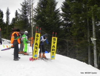 WYNIKI Zawodów Narciarskich Żywieckich Szkół Samorządowych - zdjęcie34