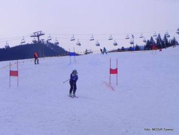 WYNIKI Zawodów Narciarskich Żywieckich Szkół Samorządowych - zdjęcie20