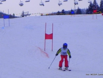 WYNIKI Zawodów Narciarskich Żywieckich Szkół Samorządowych - zdjęcie15