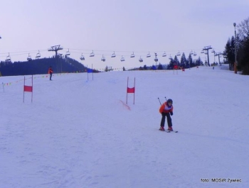 WYNIKI Zawodów Narciarskich Żywieckich Szkół Samorządowych - zdjęcie13