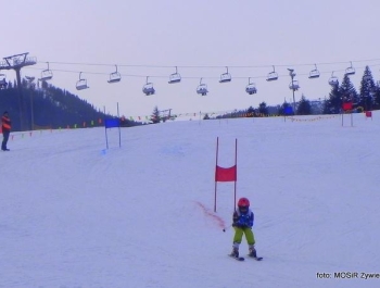 WYNIKI Zawodów Narciarskich Żywieckich Szkół Samorządowych - zdjęcie12