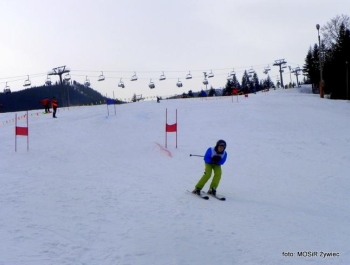 WYNIKI Zawodów Narciarskich Żywieckich Szkół Samorządowych - zdjęcie11
