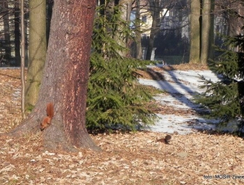 Słoneczny dzień w Parku z SENIORAMI. - zdjęcie11
