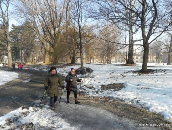 Słoneczny dzień w Parku z SENIORAMI. - zdjęcie3