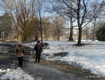Słoneczny dzień w Parku z SENIORAMI. - zdjęcie7