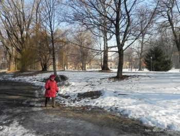Słoneczny dzień w Parku z SENIORAMI. - zdjęcie6