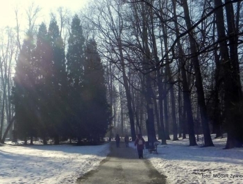 Słoneczny dzień w Parku z SENIORAMI. - zdjęcie8