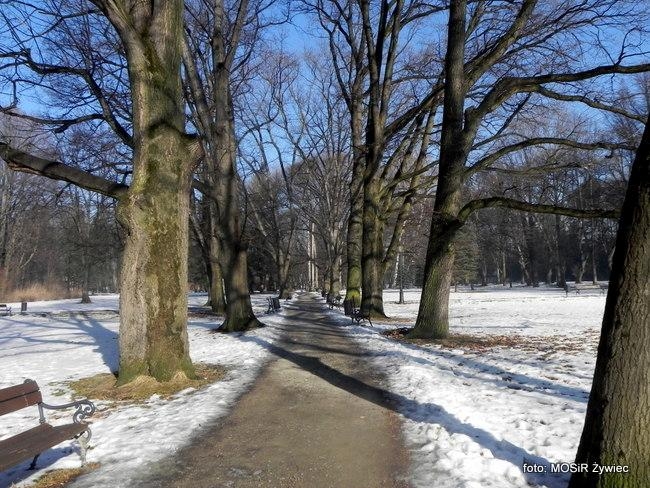 Słoneczny dzień w Parku z SENIORAMI.