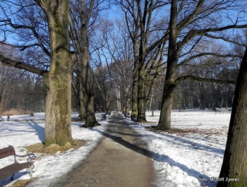 Słoneczny dzień w Parku z SENIORAMI. - zdjęcie10