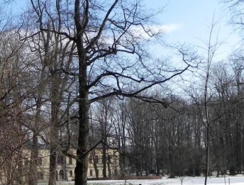 Poniedziałki z SENIOR/KĄ w Parku. - zdjęcie7