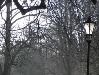 Poniedziałki z SENIOR/KĄ w Parku. - zdjęcie8