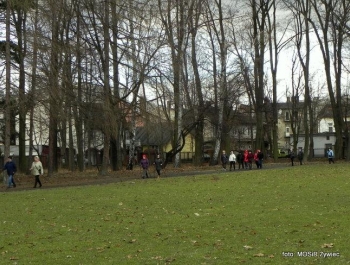 SENIOR/KA spaceruje w stylu NORDIC WALKING. - zdjęcie5