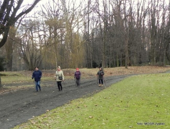 SENIOR/KA spaceruje w stylu NORDIC WALKING. - zdjęcie6