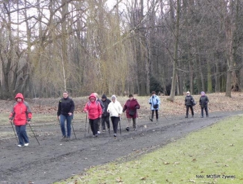 SENIOR/KA spaceruje w stylu NORDIC WALKING. - zdjęcie7