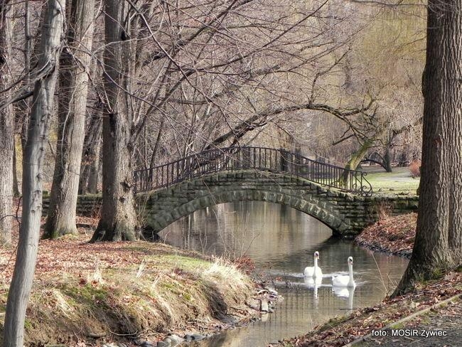 Spacer SENIORÓW po Żywieckim Parku Krajobrazowym.