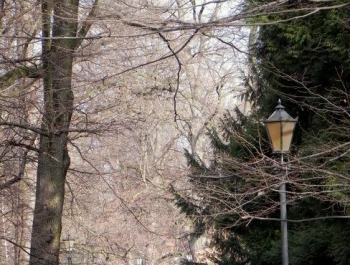 Spacer SENIORÓW po Żywieckim Parku Krajobrazowym. - zdjęcie4