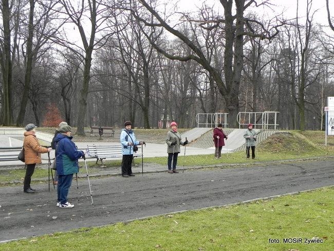 DZIEŃ KOBIET na sportowo, SENIORKI na zajęciach Nordic Walking.