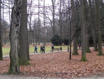 Pochmurnie ale aktywnie - SENIOR/KA 2017. - zdjęcie5