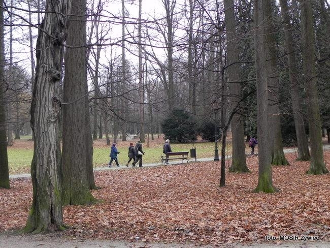 Pochmurnie ale aktywnie - SENIOR/KA 2017.