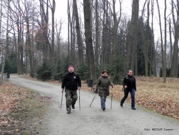 WYTRWALI SENIORZY - zajęcia Nordic Walking. - zdjęcie4
