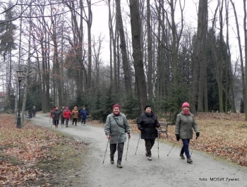 WYTRWALI SENIORZY - zajęcia Nordic Walking. - zdjęcie5