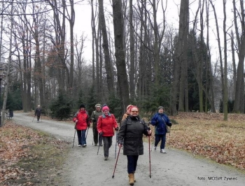 WYTRWALI SENIORZY - zajęcia Nordic Walking. - zdjęcie6