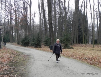 WYTRWALI SENIORZY - zajęcia Nordic Walking. - zdjęcie7