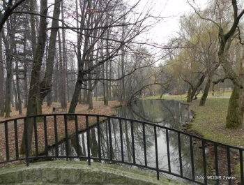 WYTRWALI SENIORZY - zajęcia Nordic Walking. - zdjęcie8